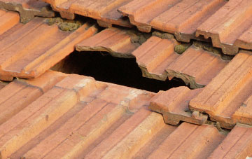 roof repair Llanfair Caereinion, Powys