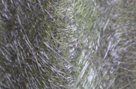 Llanfair Caereinion fibreglass roof work